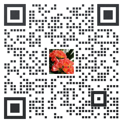 宋刚企业微信二维码